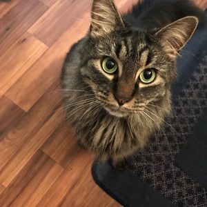 Meet your Posher, Alena